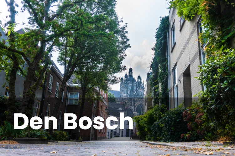 Bellenthee Den Bosch